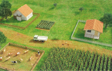 Imagem: Ilustração. Duas casas dentro de cercados de madeira. Na frente, um caminhão em uma estrada de terra e áreas de plantações.    Fim da imagem.