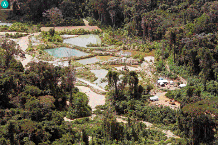 Imagem: Fotografia. Imagem aérea de uma área sem vegetação no meio de uma floresta. Nessa área há pequenas lagoas.  Fim da imagem.