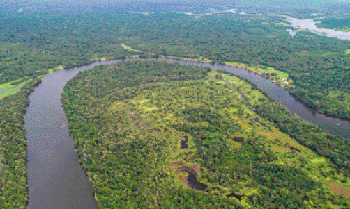 Imagem: Fotografia. Paisagem com uma floresta densa. No meio dela, um rio curvo, no formato da letra U.  Fim da imagem.