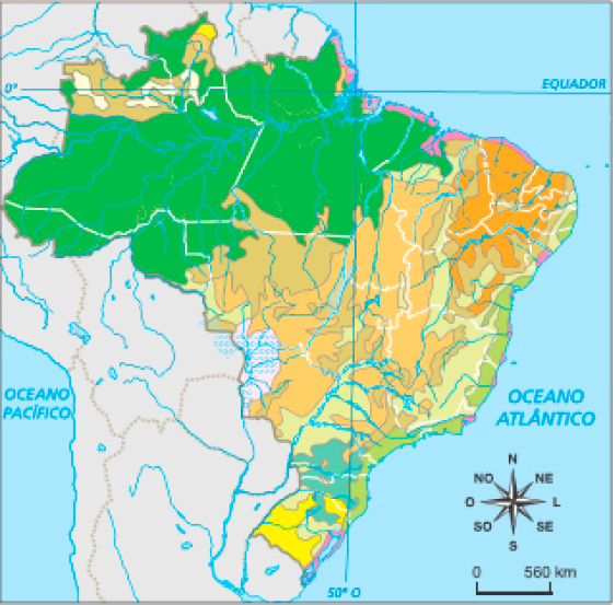Imagem: Mapa. Brasil: vegetação nativa. Mapa do Brasil separado por cores, cada uma representando uma vegetação. Floresta Amazônica: maior parte da Região Norte e parte oeste da região Nor-deste. Mata atlântica: faixa no litoral das regiões Sul, Sudeste e Nordeste. Floresta Tropical: áreas ao lado da mata atlântica. Mata dos Pinhais ou de Araucária: região entre o Paraná e Santa Cata-rina. Cerrado: áreas principalmente da região Centro-Oeste. Caatinga: áreas espalhadas pela região Nordeste. Vegetação do Pantanal: uma pequena área no lado leste da região Centro-Oeste. Vegetação litorânea: áreas pequenas no litoral das regiões Norte, Nordeste, Sudeste e Sul. Campinas do Rio Negro: pequenas áreas no Norte. Contato entre tipos de vegetação: áreas espalhadas por todo o Brasil.  Fim da imagem.
