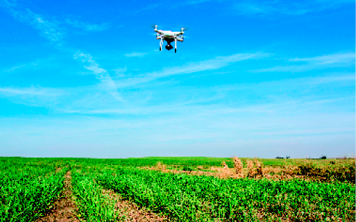 Imagem: Fotografia. Um drone sobrevoando uma plantação.  Fim da imagem.