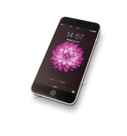 Imagem: Fotografia. Um celular. Na tela, flor cor-de-rosa. Fim da imagem.