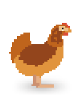Imagem: Ilustração. Uma galinha. Fim da imagem.