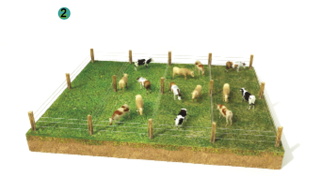 Imagem: Ilustração. Sequência de imagens de pastos. 1: uma área gramada com gado espalhado entre árvores. 2: uma área com algumas cercas e o gado espalhado. 3: uma pequena área cercada com telhado e o gado dentro.  Fim da imagem.