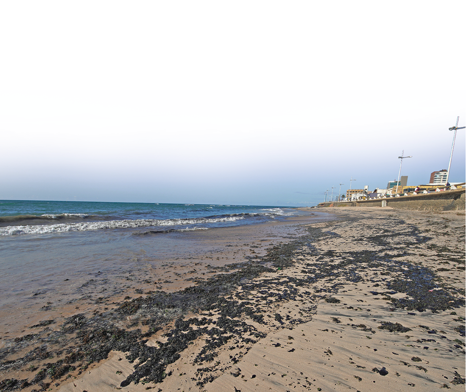 Imagem: Fotografia. Uma praia com uma cidade ao lado. Na areia há manchas pretas.  Fim da imagem.