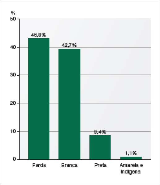 Imagem: Gráfico. Brasil: população segundo cor ou raça (2019). No eixo vertical, porcentagem. No eixo horizontal, raça. Raça: parda. Porcentagem: 46,8%. Raça: branca. Porcentagem: 42,7%. Raça: preta. Porcentagem: 9,4%. Raça: amarela e indígena. Porcentagem: 1,1%. Fim da imagem.