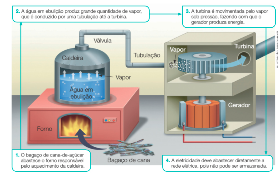 Imagem: Ilustração. Esquema de produção de energia por biomassa. Ilustração de bagaços de cana no chão, seta para um forno aceso. Acima, uma caldeira com água em ebulição. Da água sai vapor de água. Para a direita, uma válvula e uma tubulação. Em seguida, uma caixa por onde entre o vapor e passa por uma turbina. Embaixo, um gerador. Ao redor, texto explicando os passos. 1. O bagaço de cana-de-açúcar abastece o forno responsável pelo aquecimento da caldeira. 2. A água em ebulição produz grande quantidade de vapor, que é conduzido por uma tubulação até a turbina. 3. A turbina é movimentada pelo vapor sob pressão, fazendo com que o gerador produza energia. 4. A eletricidade deve abastecer diretamente a rede elétrica, pois não pode ser armazenada. Fim da imagem.