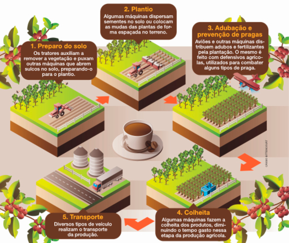 Imagem: Ilustração. Um ciclo de imagens e informações. No centro, uma xícara de café. Ao redor, o ciclo. 1: ilustração de um trator passando por uma terra ao lado de árvores. Preparo do solo. Os tratores auxiliam a remover a vegetação e puxam outras máquinas que abrem sulcos no solo, preparando-o para o plantio. 2: o trator solta sementes na terra. Plantio. Algumas máquinas dispersam sementes no solo ou colocam as mudas das plantas de forma espaçada no terreno. 3: uma área com uma plantação de um lado e árvores do outro. Adubação e prevenção de pragas. Aviões e outras máquinas distribuem adubos e fertilizantes pela plantação. O mesmo é feito com defensivos agrícolas, utilizados para combater alguns tipos de praga. 4: uma área com uma plantação de um lado e árvores do outro, ao lado de uma construção azul. Colheita. Algumas máquinas fazem a colheita dos produtos, diminuindo o tempo gasto nessa etapa da produção agrícola. 5: um caminhão ao lado de dois tanques. Na frente, uma estrada. Transporte. Diversos tipos de veículo realizam o transporte da produção. Fim da imagem.