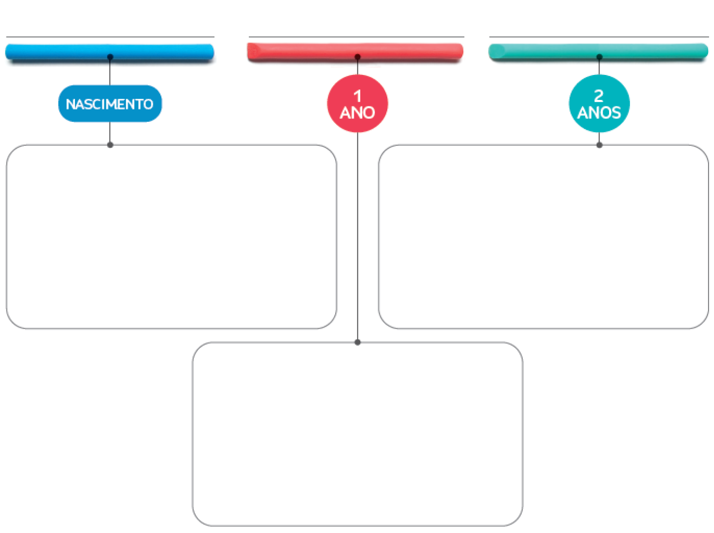Imagem: Ilustração. Uma linha do tempo que apresenta três barras de cores diferentes que indicam respectivamente: nascimento, 1 ano e 2 anos.  Fim da imagem.