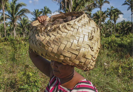 Imagem: Fotografia. Destaque de uma mulher que carrega um cesto grande sobre a cabeça com uma porção de pequenos cocos. Ao fundo, vegetação. Fim da imagem.