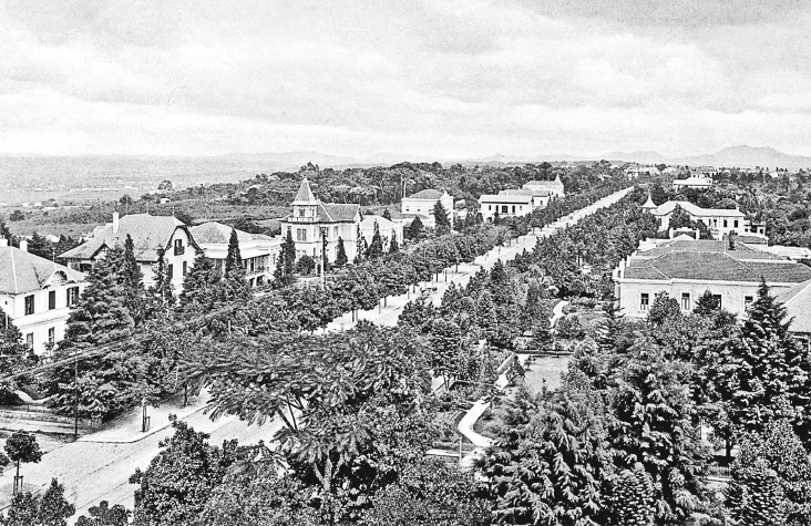 Imagem: Fotografia em preto e branco. Plano aberto de uma extensa avenida rodeada por muitas árvores e alguns casarões assobradados.  Fim da imagem.