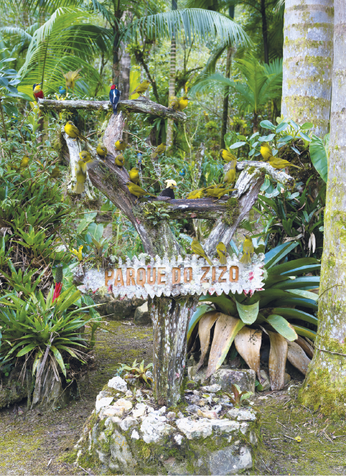Imagem: Fotografia. Destaque de uma área verde com trilha de passeio e muitas plantas e palmeiras. Em um tronco, há uma placa na qual está escrito “Parque do Zizo”, onde há muitos pássaros pousados. Fim da imagem.
