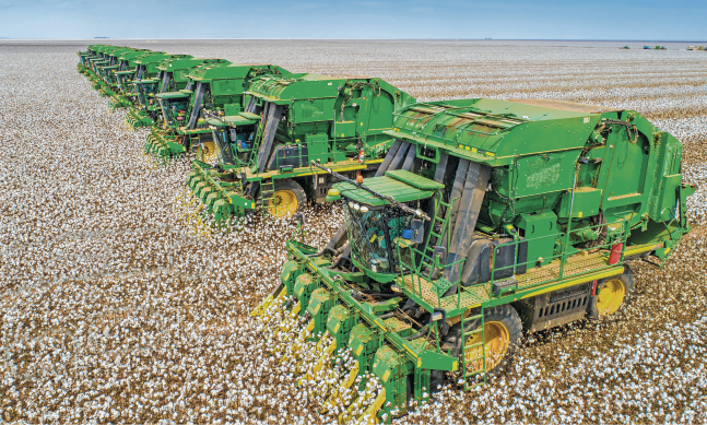 Imagem: Fotografia. Uma extensa linha de maquinários robustos em meio a vasta plantação de algodão.  Fim da imagem.