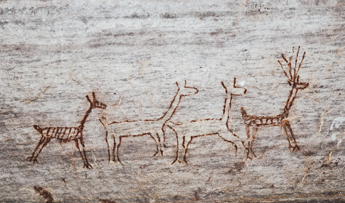 Imagem: Fotografia. Destaque de uma parede rochosa com desenho de um grupo de animais quadrupedes. Fim da imagem.