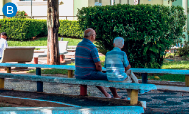 Imagem: B. Fotografia. Em uma praça, dois senhores idosos estão sentados lado a lado em um banco comprido. Ao redor, há outros bancos e arbustos.  Fim da imagem.