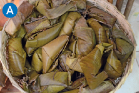 Imagem: A. Fotografia. Pequenas trouxas embrulhadas em folhas verde-escuras. Fim da imagem.