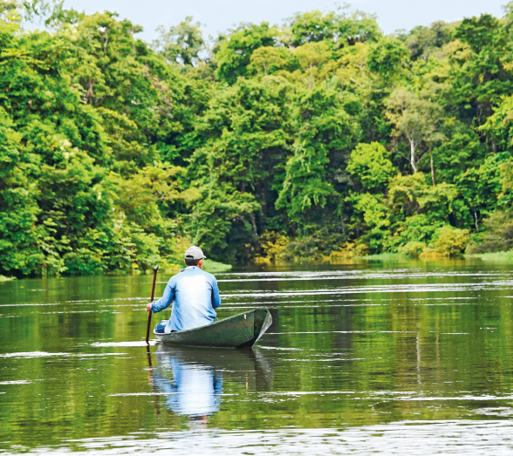 Imagem: Fotografia. Destaque de um homem de camisa e boné que está sentado de costas em uma pequena embarcação em meio a um extenso rio margeado pela mata.  Fim da imagem.