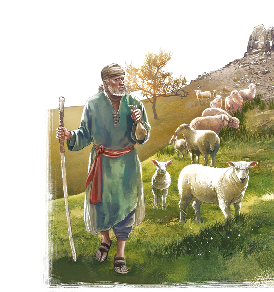 Imagem: Ilustração. Em uma área verde aberta com muitas ovelhas, um senhor de barba, lenço no cabelo, bata com lenço amarrado na cintura e chinelo caminha com um cajado apoiado no chão.  Fim da imagem.