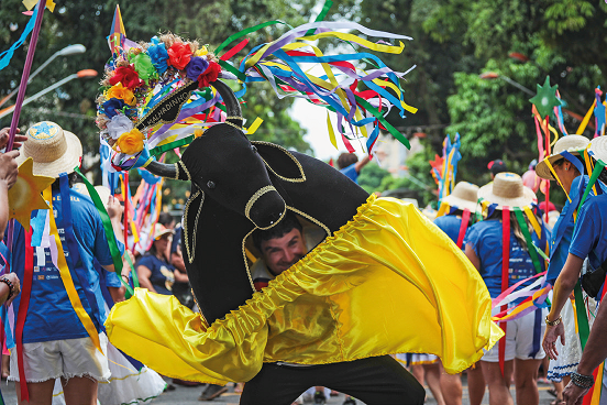 Imagem: Fotografia. Em meio a um desfile, destaque de um homem que usa fantasia de um boi preto com chifre enfeitado com fitas e rosas coloridas e boras longa amarela com pregas. Ao fundo, um grupo de pessoas caminha de camiseta azul, shorts branco e chapéu de palha com fitas. Fim da imagem.