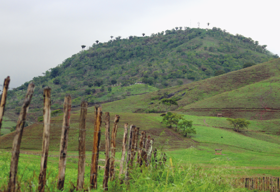 Imagem: Fotografia. Destaque de uma área verde descampada onde há uma cerca no espaço e no horizonte uma serra bem saliente.   Fim da imagem.