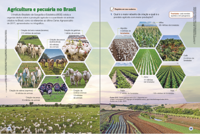 Imagem: Ilustração. Exemplifica como será a seção Infográfico. Página dupla composta por textos e imagens. Fim da imagem.