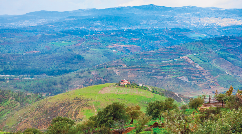 Imagem: Fotografia. Plano aberto de paisagem composta por vale com vasta área verde. Fim da imagem.