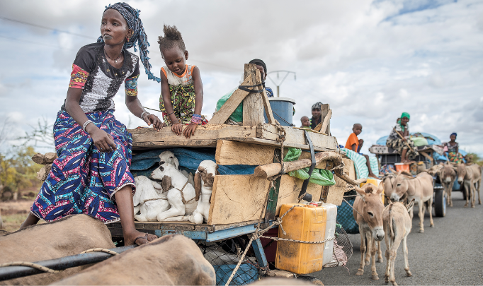 Imagem: Fotografia. Na via asfaltada, uma fileira de carroças puxadas por burros sobre as quais há mulheres e crianças negras e caprinos. Fim da imagem.