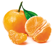 Imagem: Fotografia. Uma tangerina inteira ao lado de gomos da fruta. Apresenta casca laranja de aspecto pouco áspero e forma redonda com pequena folha na extremidade. Os gomos são laranjas de aspecto macio. Fim da imagem.