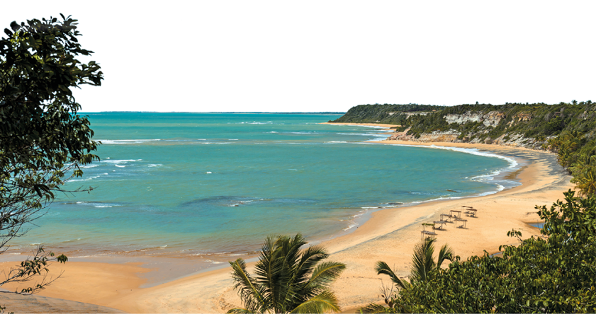 Imagem: Fotografia. Plano aberto do litoral com uma faixa de areia deserta, mar tranquilo e área verde por toda encosta.  Fim da imagem.