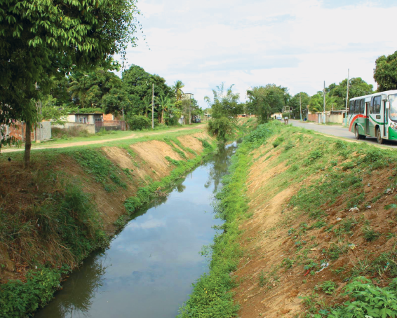 Imagem: Fotografia. Destaque de um rio que corre margeado por paredões inclinados de terra e grama. Ao redor, árvores, uma rua de terra de um lado e outra rua asfaltada do outro lado do rio. Fim da imagem.