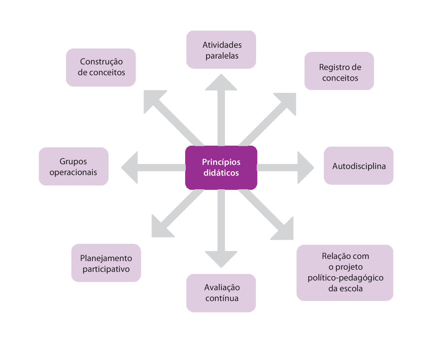 Esquema. Caixa de texto central: Princípios didáticos. Setas saindo do centro conectando as seguintes caixas de texto: Atividades paralelas. Registro de conceitos. Autodisciplina. Relação com o projeto político-pedagógico da escola. Avaliação contínua. Planejamento participativo. Grupos operacionais. Construção de conceitos.