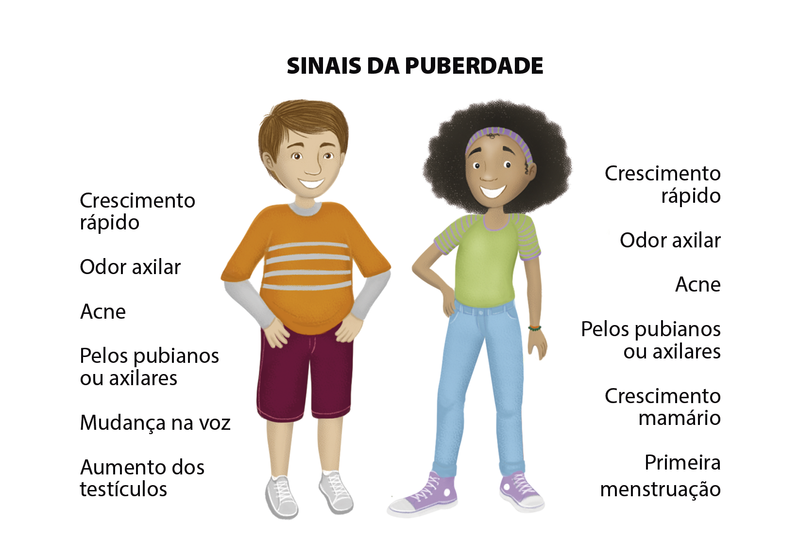 Esquema. SINAIS DA PUBERDADE. À esquerda, ilustração de um menino com cabelos castanhos, usando camiseta laranja e branca listrada e short roxo. Ao lado, o texto: Crescimento rápido. Odor axilar. Acne. Pelos pubianos ou axilares. Mudança na voz. Aumento dos testículos. 
À direita, ilustração de uma menina de cabelos pretos volumosos com tiara usando camisa verde e calça azul. Ao lado, o texto: Crescimento rápido. Odor axilar. Acne. Pelos pubianos ou axilares. Crescimento mamário. Primeira menstruação.