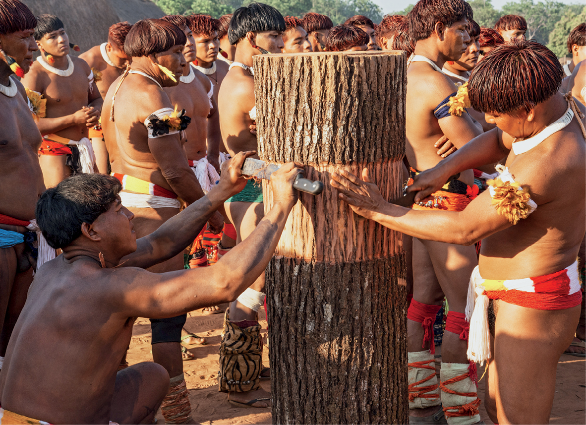 Fotografia. Dois indígenas com adereços coloridos estão com as mãos sobre um tronco de árvore cortado. Os dois raspam a casca do tronco utilizando facas. Atrás, diversos indígenas em pé.