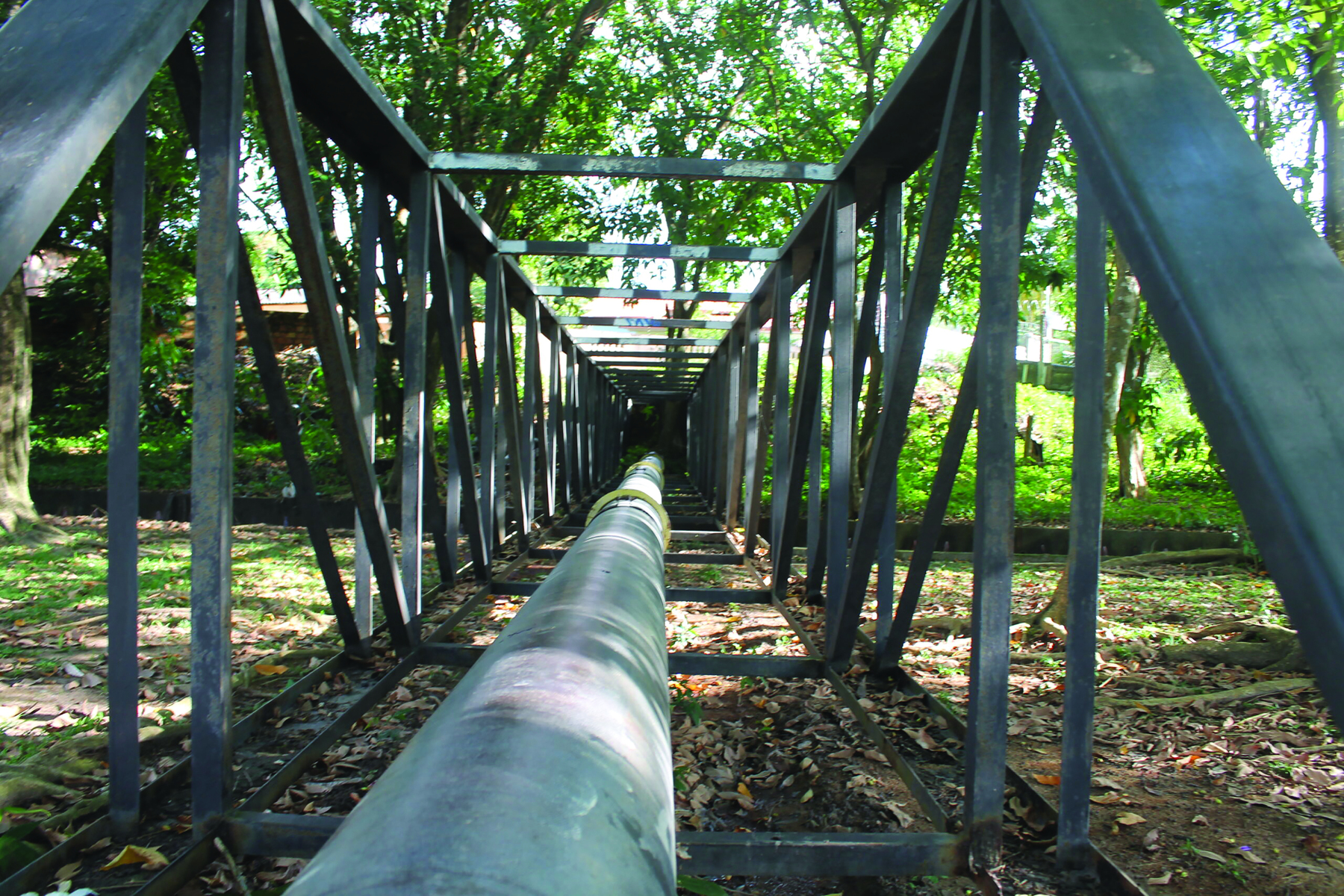 Fotografia. Imagem retratada em perspectiva, em formato paisagem. Sob árvores e sobre chão de terra e folhas secas, há uma estrutura de metal, semelhante a uma gaiola, em formato de túnel, que parece se afunilar. No centro inferior, há um cano de metal em toda a sua extensão.