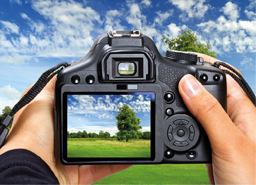 Fotografia destacando uma mão segurando uma câmera. Na tela da câmera, paisagem com gramado, uma árvore e céu azul com nuvens.