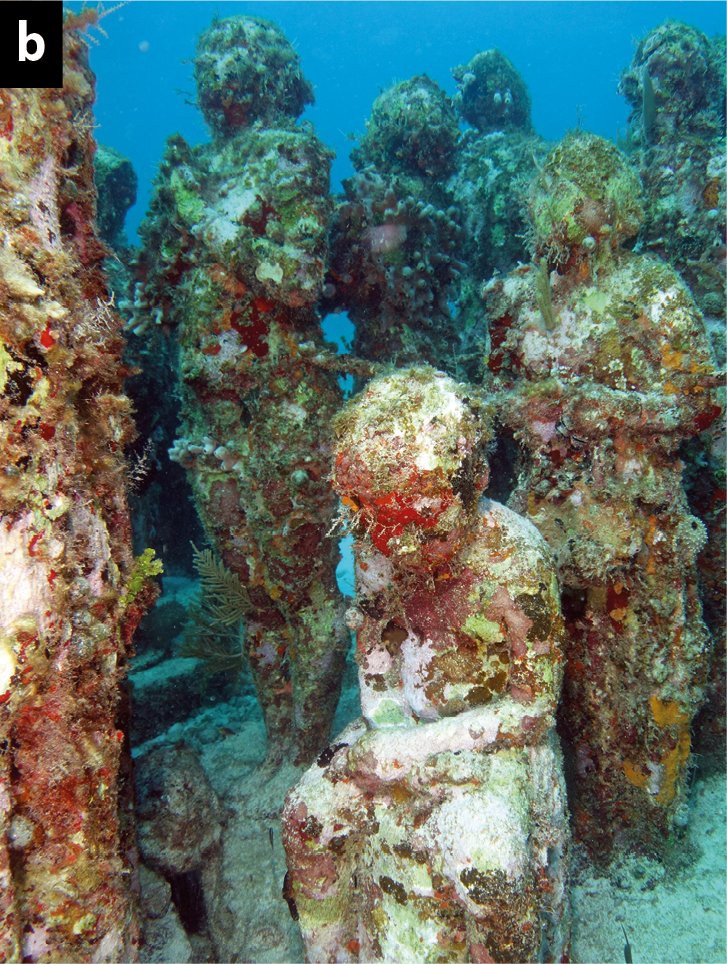 Fotografia b. Esculturas de diversas pessoas, dispostas em um leito arenoso no fundo do mar, de águas azuladas e transparentes. Na superfície das esculturas há diversos pequenos crustáceos marinhos avermelhados.