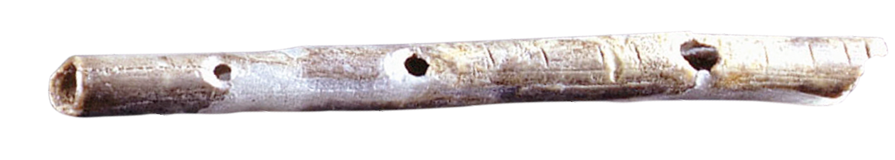 Fotografia. Uma flauta com três furos espaçados e alinhados. O instrumento tem cor semelhante às de um galho de árvore seco, com manchas esbranquiçadas e formato irregular, indicando que é feita de um material natural.