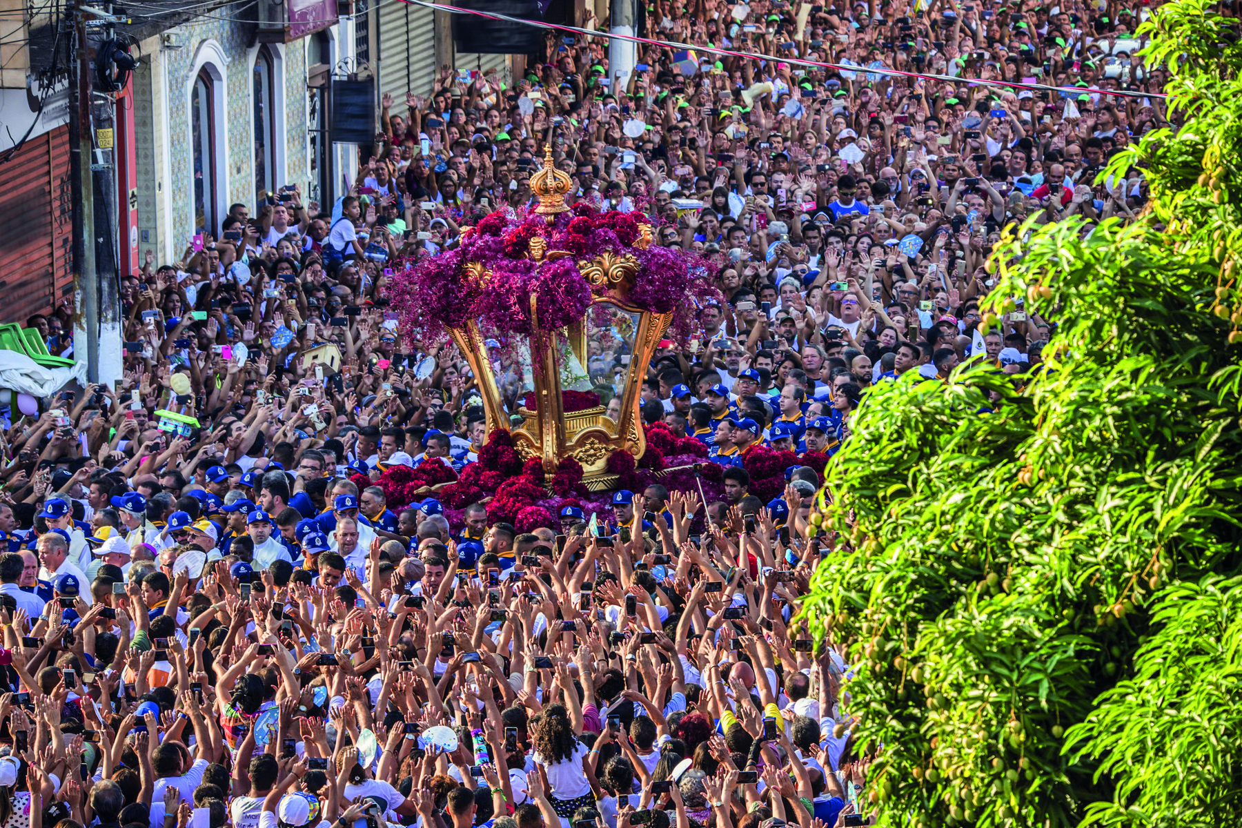 Fotografia. Vista de multidão caminhando em uma rua em procissão. No meio da multidão, um andor dourado e vermelho com a escultura de uma santa dentro é carregado pela multidão.