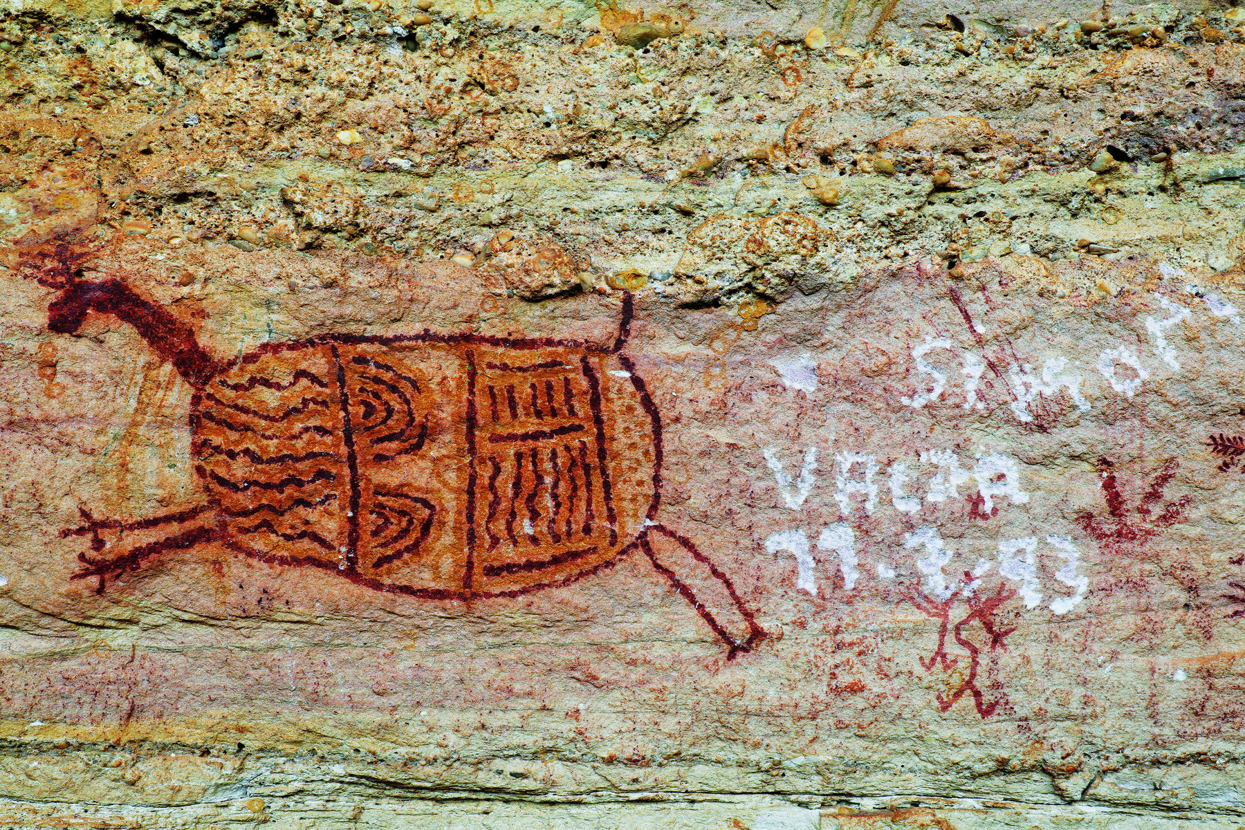 Fotografia. Pintura rupestre de um animal de corpo ovalado com as patas esticadas e rabo curto. Ao lado, escritos em branco feitos recentemente na pedra, sobre pequenos desenhos rupestres.