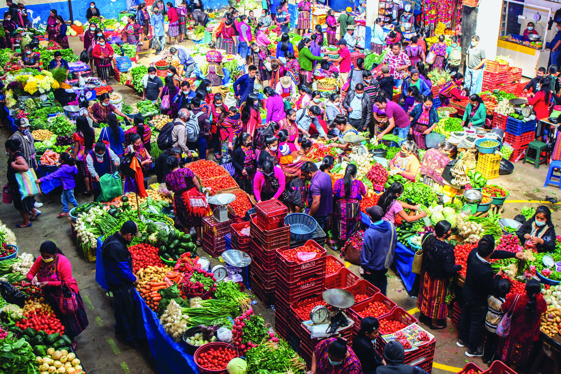 Fotografia. Pessoas aglomeradas em uma ampla área interna, escolhem legumes e verduras que estão expostos em grandes bancas ou agrupados em caixas plásticas.