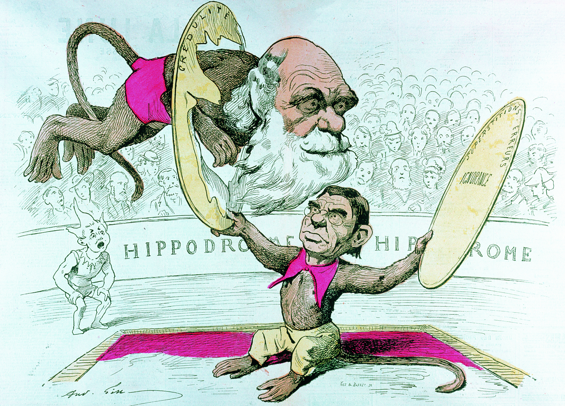 Caricatura. Dois macacos com cabeça de homem fazendo malabarismos no picadeiro de um circo. Um deles, de calça amarela, está sentado, tem a cabeça de um homem de cabelos pretos e lisos, e usa óculos. Ele está segurando dois aros amarelos no alto. O macaco que passa pelos aros usa uma sunga vermelha. Ele tem a cabeça de Charles Darwin, senhor careca de barbas brancas. Ao fundo, várias pessoas assistem à cena.