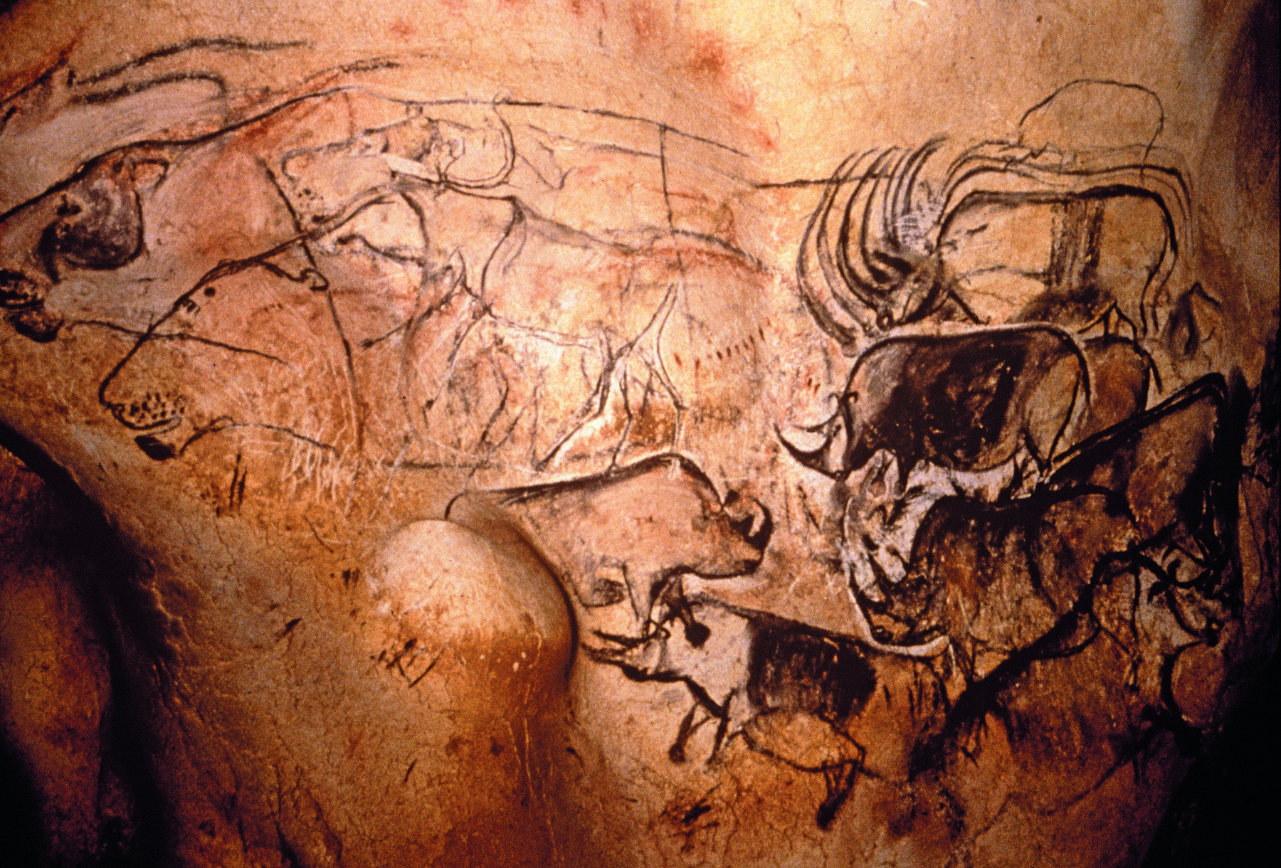 Fotografia. Pinturas rupestres na parede interna de uma caverna. À direita, animais com chifres, semelhantes a rinocerontes. Próximo a eles diversos traços.