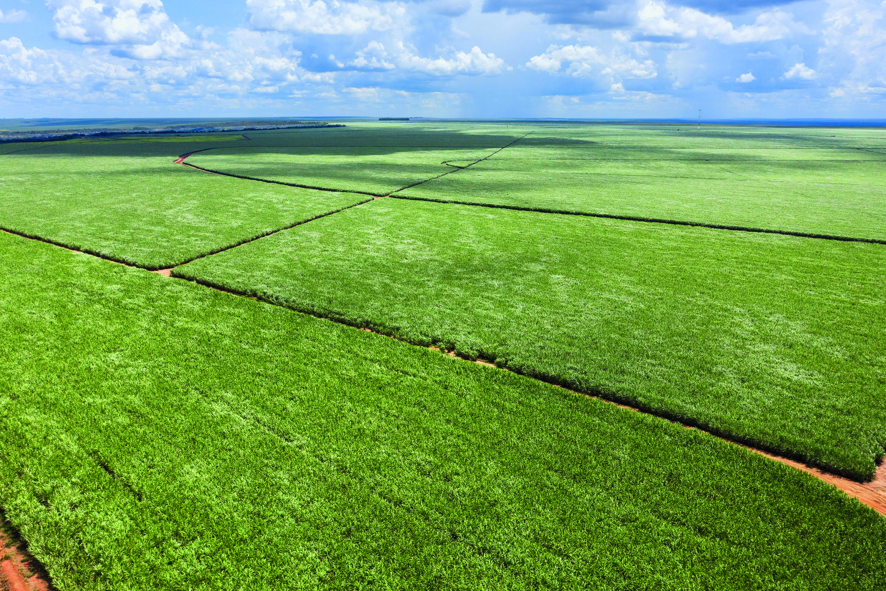 Fotografia. Vista aérea de uma plantação. São imensos quadrantes verdes, separados por pequenas estradas de terra.
