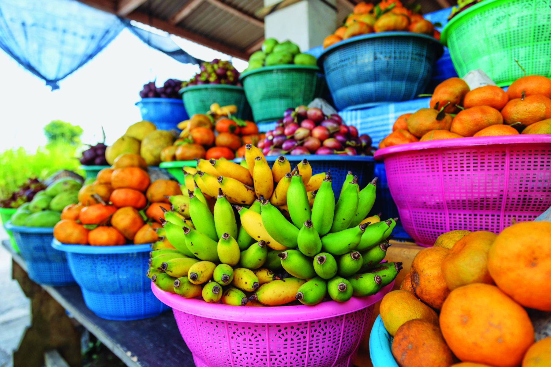 Fotografia. Frutas organizadas em cestas coloridas. Estão expostas em uma banca. À frente, bananas e laranjas. Ao fundo outras frutas coloridas.