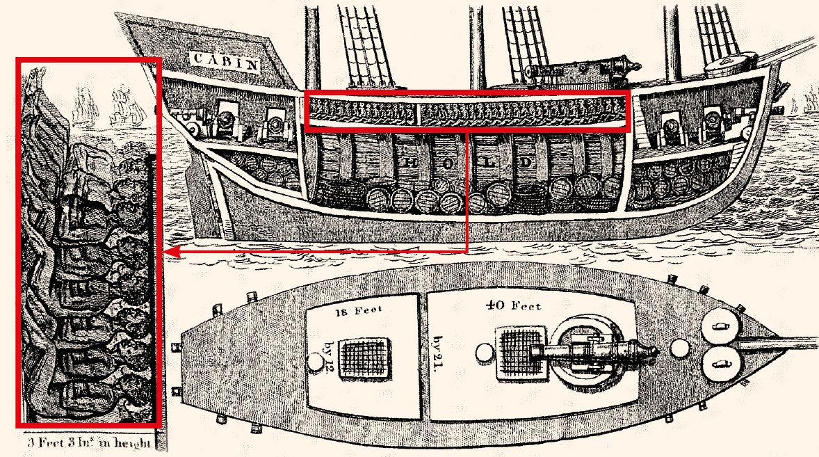 Litografia em preto e branco. Corte esquemático de um navio negreiro com o interior à mostra. Na parte superior, destaque para várias pessoas escravizadas aglomeradas.