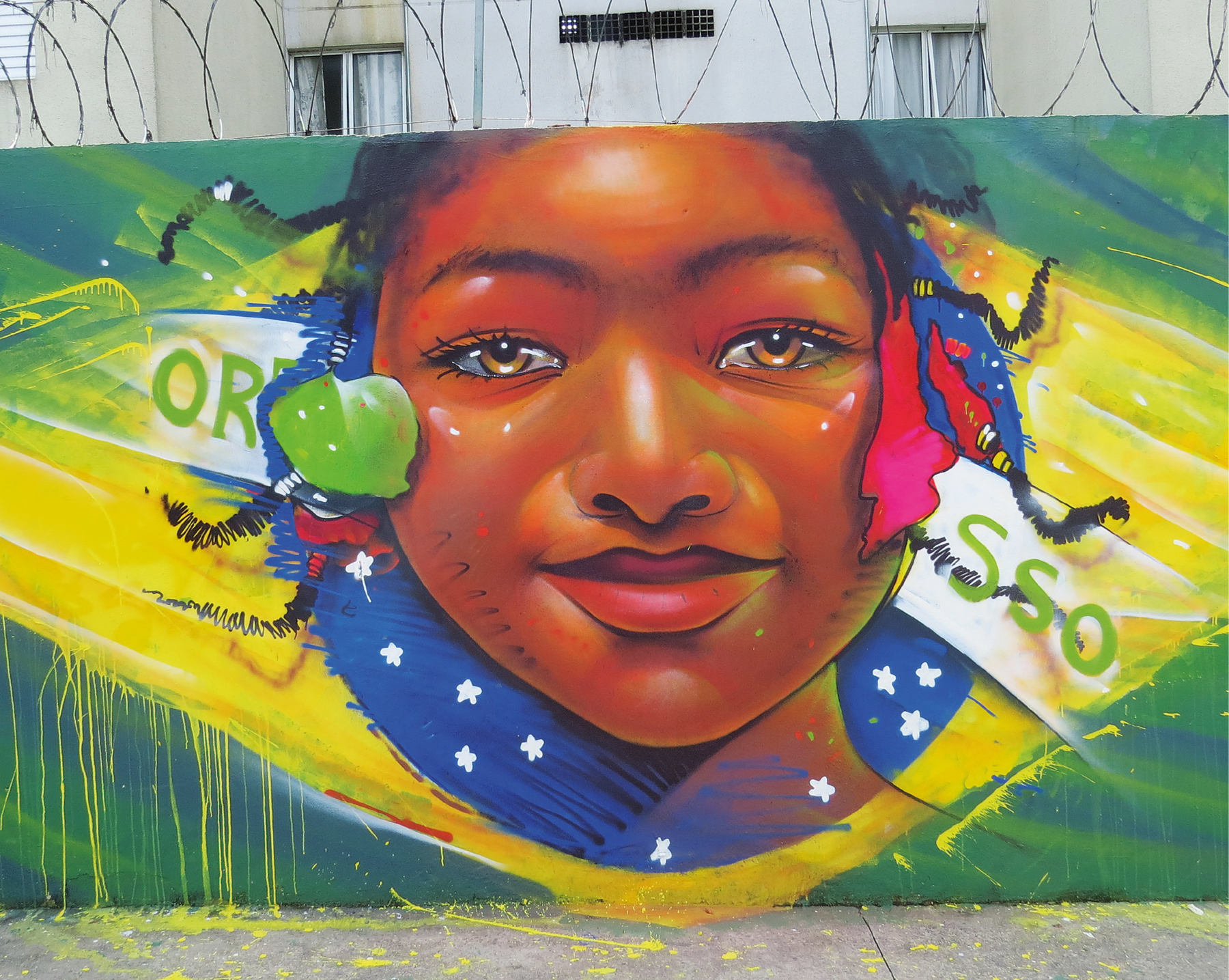 Fotografia. Grafite em um muro. Rosto de uma menina negra dentro do círculo azul da bandeira do Brasil. Ela tem trancinhas no cabelo e está sorrindo com os lábios fechados. No retângulo verde da bandeira marcas de tinta escorrida do losango amarelo. No alto do muro, arame farpado e, ao fundo, algumas janelas de um prédio.