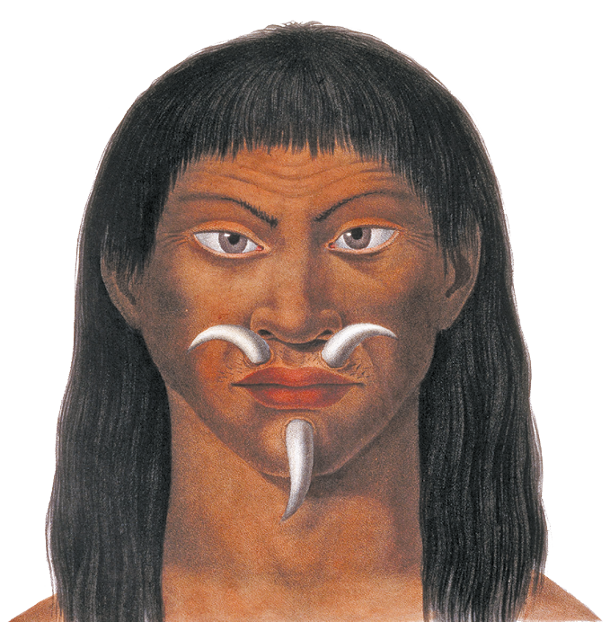 Gravura. Destaque para o rosto de um homem indígena Mura. Tem cabelos lisos e compridos, com franja. As sobrancelhas são finas, os olhos são claros e amendoados, e o nariz é largo. Usa dois dentes de animal em furos acima do lábio superior, e outro dente embaixo do lábio inferior.