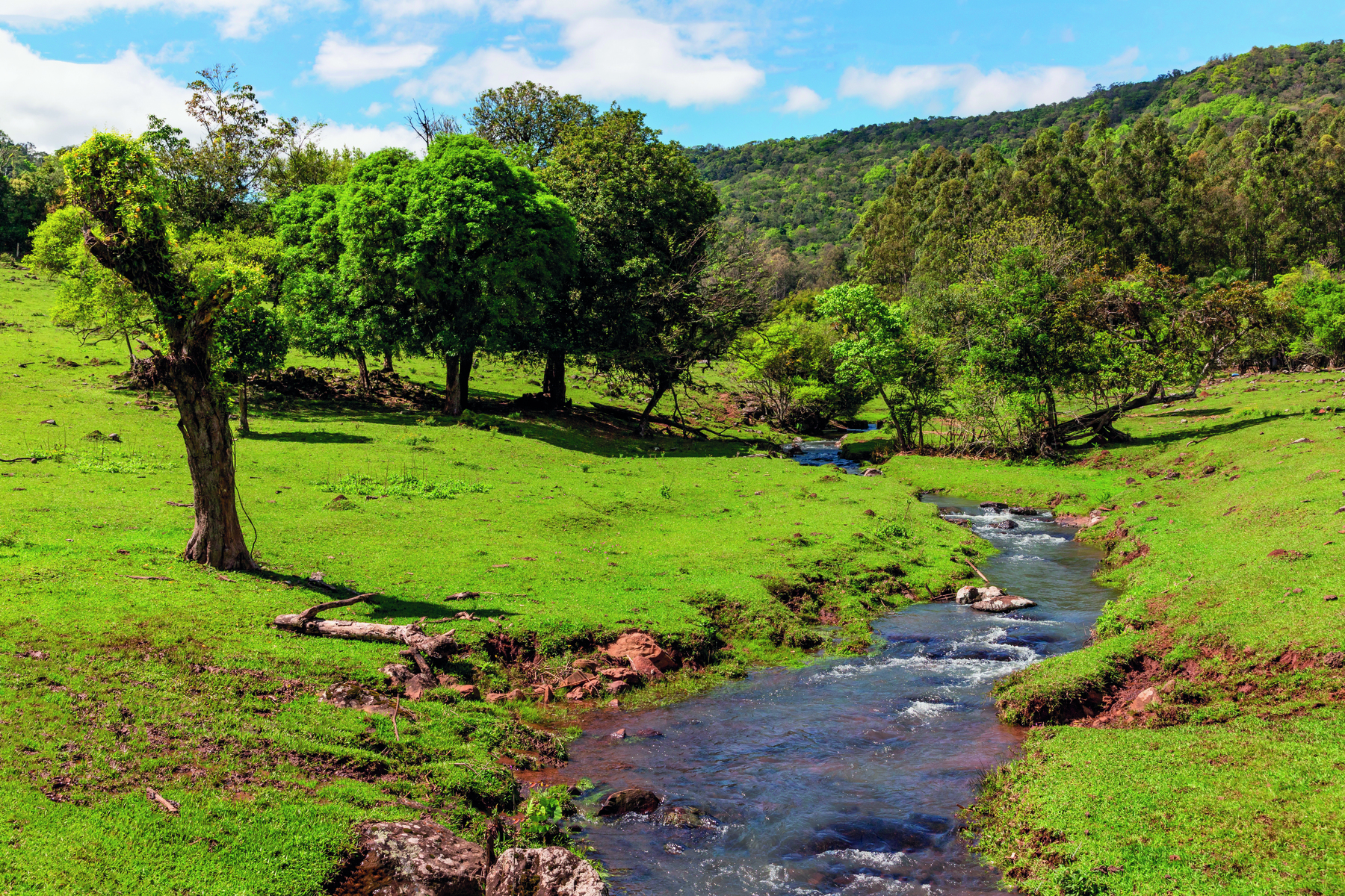 Fotografia. Vista geral de local com vegetação verde, com uma passagem de rio ao centro. Ao fundo, árvores com folhas, morros e no alto, céu em azul com nuvens brancas.