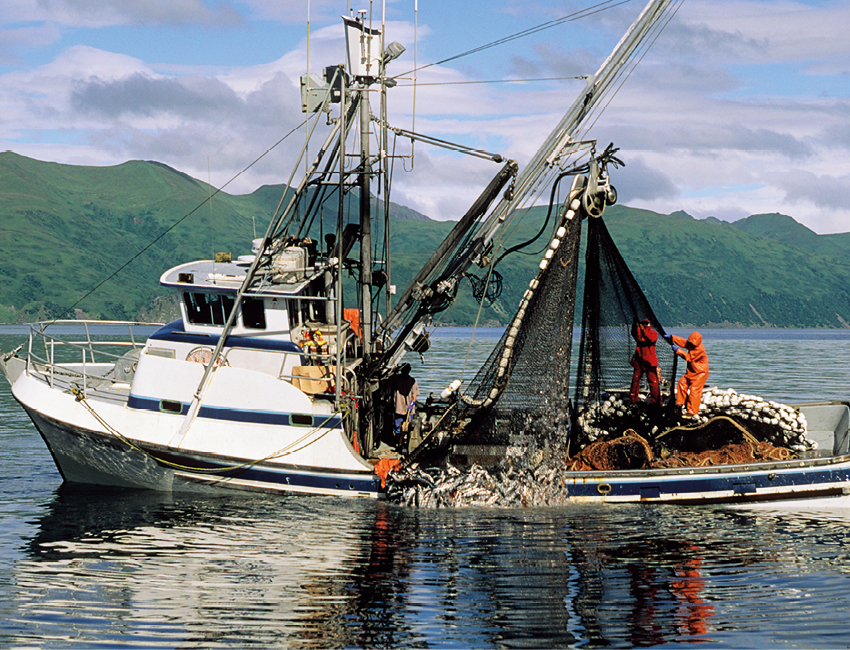 Fotografia. Vista geral de um local com água onde há um barco de pesca  branco e rede preta, com homens em pé com roupa laranja à direita. Em segundo plano, morros cobertos de verde. No alto, céu azul-claro e nuvens brancas.