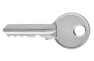 Fotografia. Uma chave pequena em cinza, com a ponta à esquerda, redonda de tamanho médio.